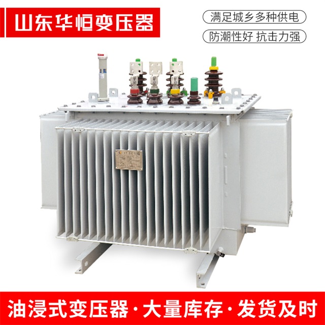 S13-10000/35周口周口周口电力变压器