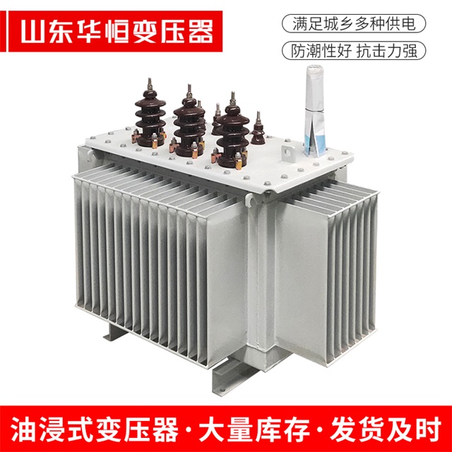 S13-10000/35周口周口周口油浸式变压器厂家